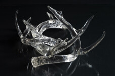 The distinctive and elegant shape of deer antlers emerges from hand-blown translucent glass to create this contemporary tabletop sculpture b… Image 4