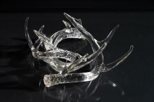 The distinctive and elegant shape of deer antlers emerges from hand-blown translucent glass to create this contemporary tabletop sculpture b… Image 6